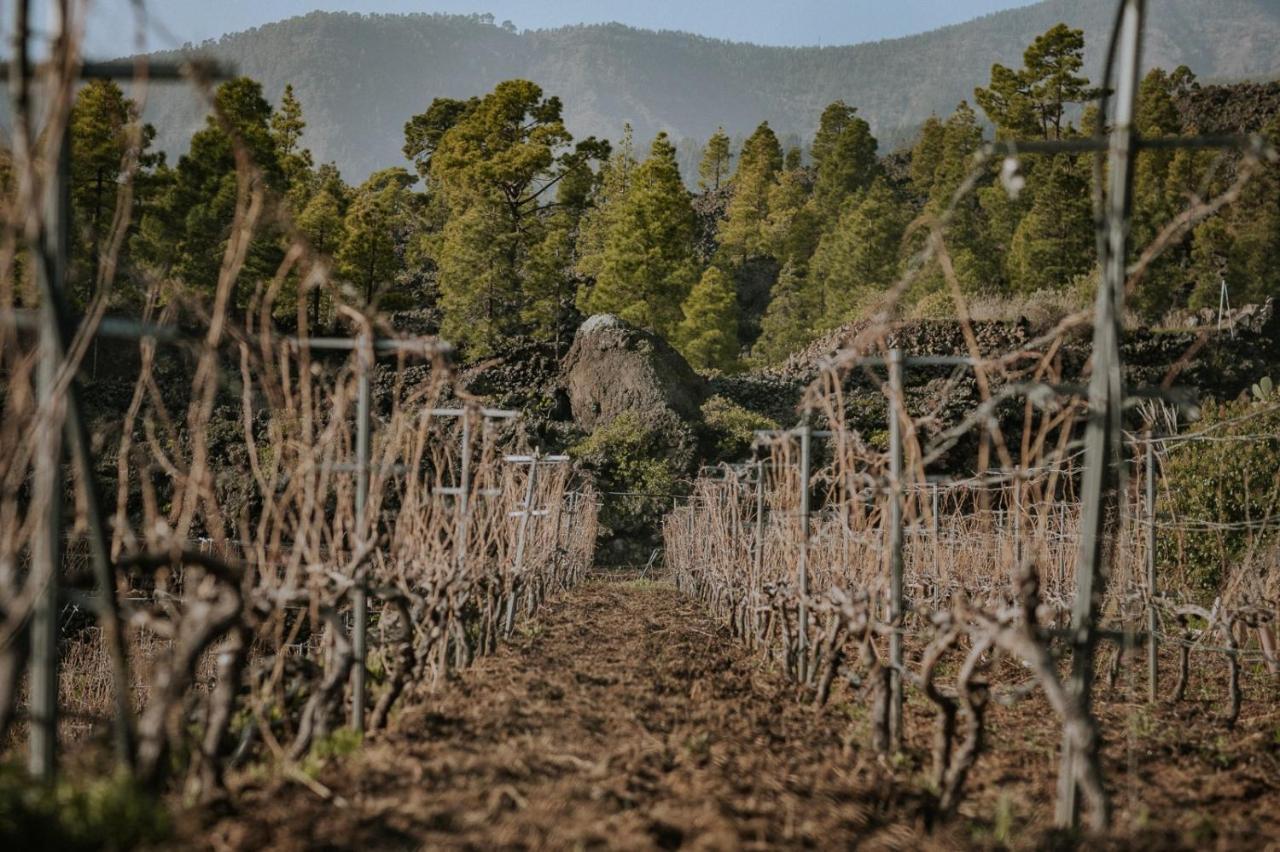 Finca Ecologica Ferrera. Alojamiento Rural. Арафо Экстерьер фото